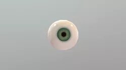 Eyeball
