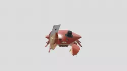 Gambler Crab