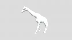 Giraffe for  Adam