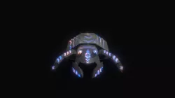 Hermit Crab