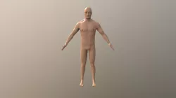 Human Model