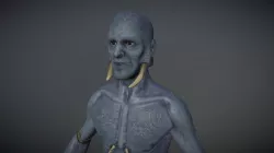 Humanoid