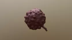 Kreig Cell