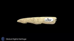 Leister Barb, Hot Springs Village, 2-21.55.6