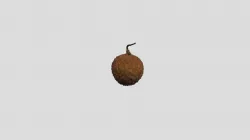 Litchi