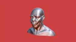 Male Face Sculpt
