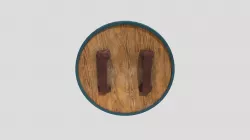 Medieval Shield