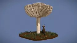 Mushroom & Moth