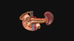 Pancreas & Spleen