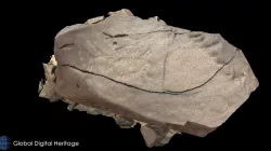 Petroglyph V2, Khatm Al Melaha, Kalba, Sharjah
