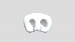 Pig Nose