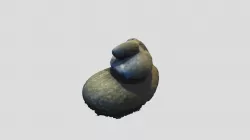 rocks