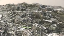 Slate rocks by the shore