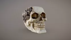 Steampunk Cyborg Skull