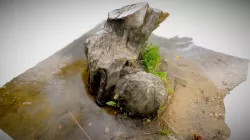 Stump
