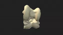 talus (talus) cow