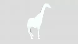 Testing
