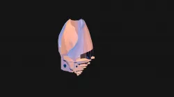 The Shell