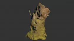 Tree Stump