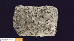 WSU Sample 1124