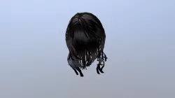 3d Black Polygon Hair