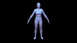 3D Female Body Model