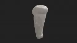 7th cheek tooth (3rd molar) dog (lower jaw)
