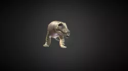 Anteosaurus magnificus