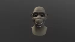 APE FACE