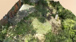 Back Yard 2-7-2016