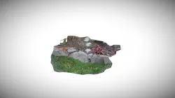 Backyard Landscaping