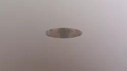 Bat