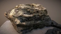 Beach Rock Photogrammetry Scan
