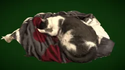 Christmas Atticus