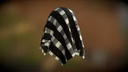 Cloth