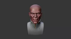 Commander Bust