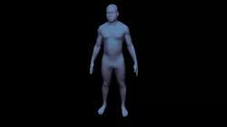 Example 3D Body Model - Measurements
