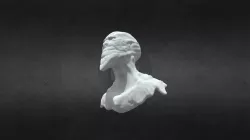 Face study