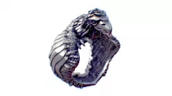 Hawk Ring