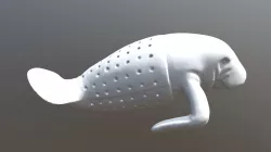 Manatee
