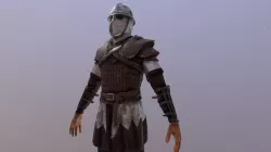 Medieval Guard