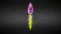 Northern Marsh Orchid Final