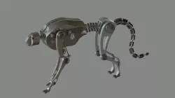Panther