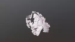 Paul 3D
