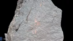 Petroglyph V8, Khatm Al Melaha, Kalba, Sharjah