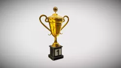 Pokal