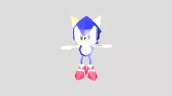 Rigged Sonic R Model