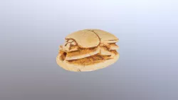 scarab