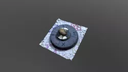 Snail