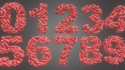 Splineghetti Numbers